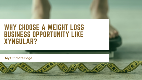 Weight Loss Business Opportunity